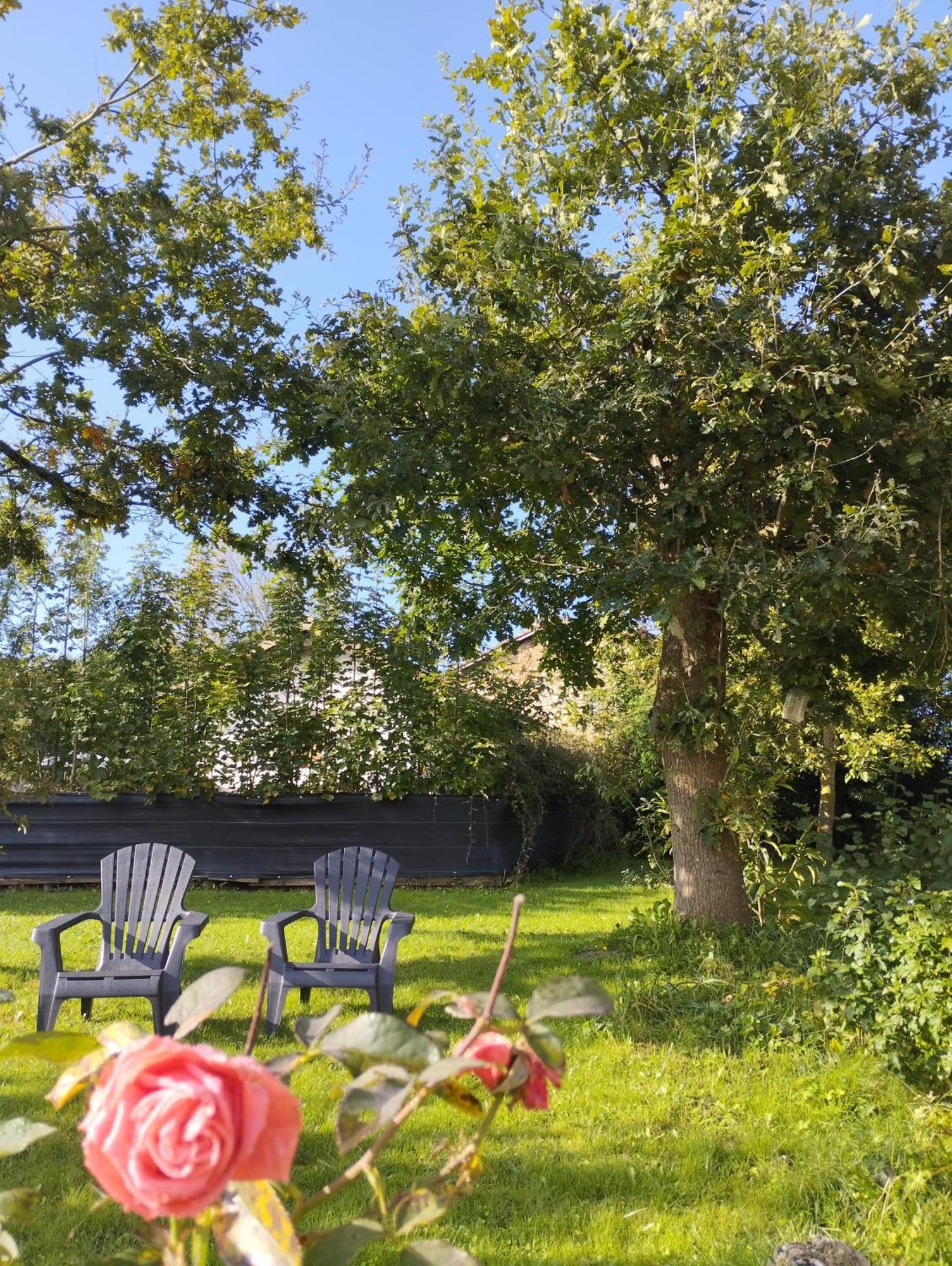 Homestay Solapetxea Con Sauna Elosu